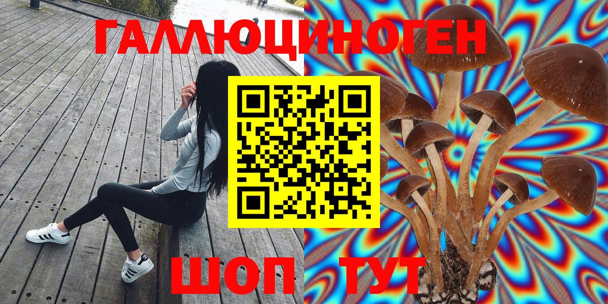 Малгобек  Галлюциногенные грибы Cubensis  Псилоцибиновые грибы GOLDEN TEACHER  Вход с VPN 
